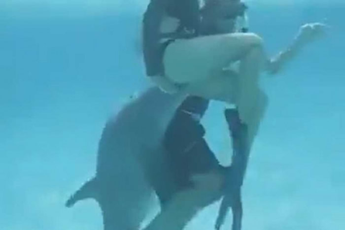 公海豚居然对人类产生「性趣」(图/翻摄自Sikniz TV )