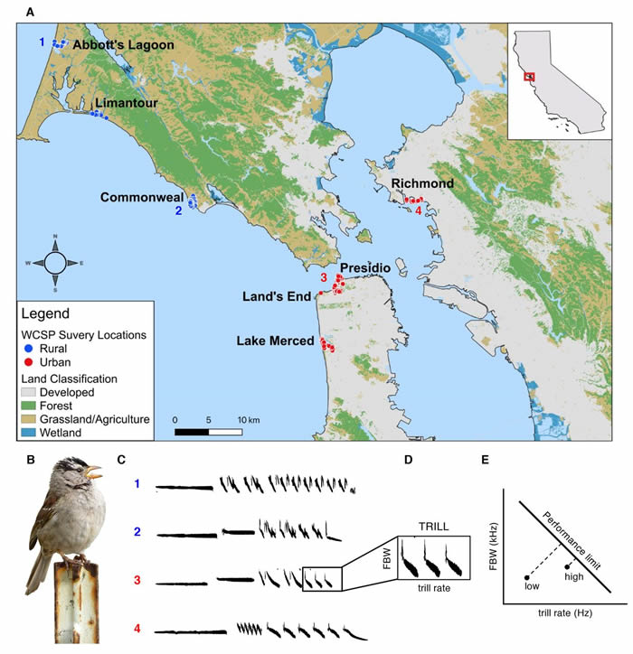 新游戏祸利！《心灵杀足》独家保躲版只需1好圆