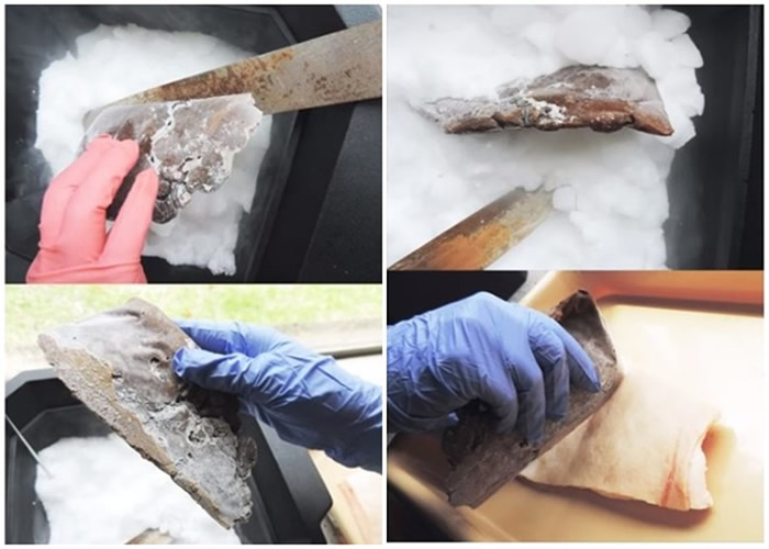 ���Ŷӽ��˷��䶳���Ƴɵ�����ʵ�飬��á����Ͽ�ѧ������