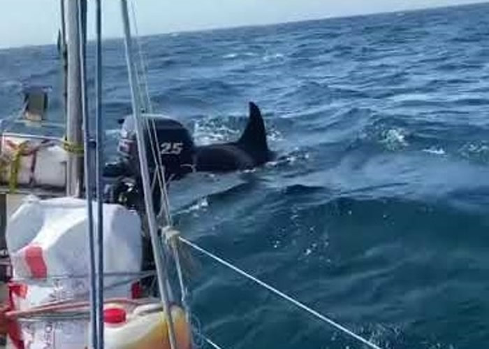 �������������������������ɱ�˾�Χ����ֻ�¼� ԭ����˵���