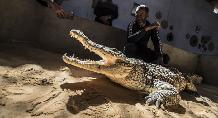 ����˹͵�����ڰ���̩һ�����ﲶ��һ������