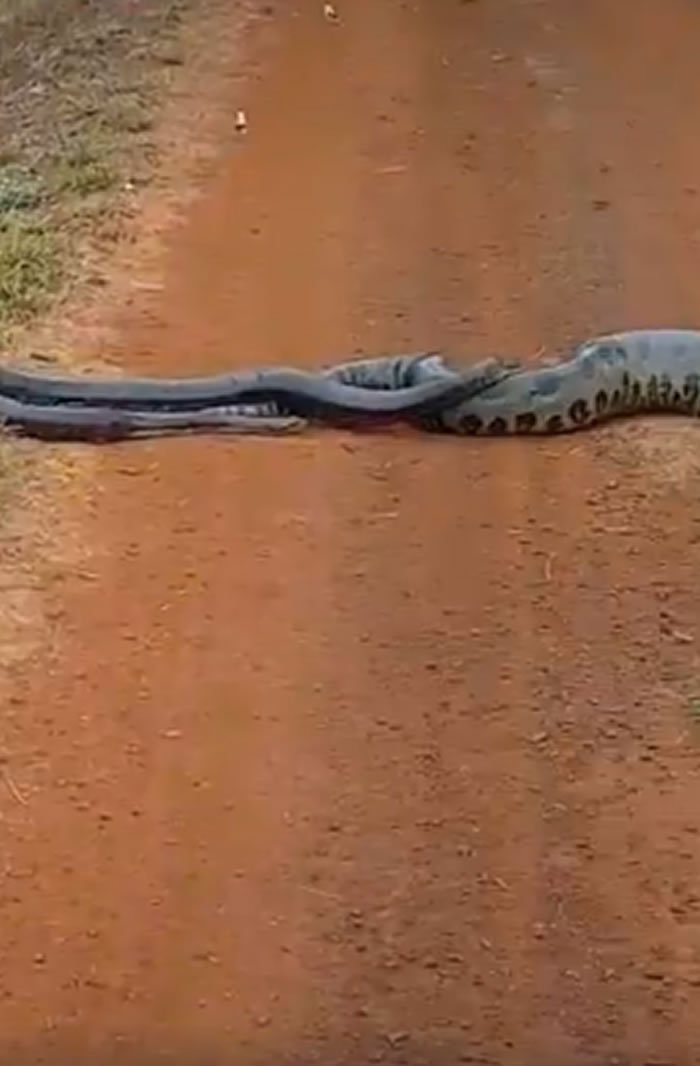 ҽѧԽַǰ·֡ ͣ鿴ŷɭ