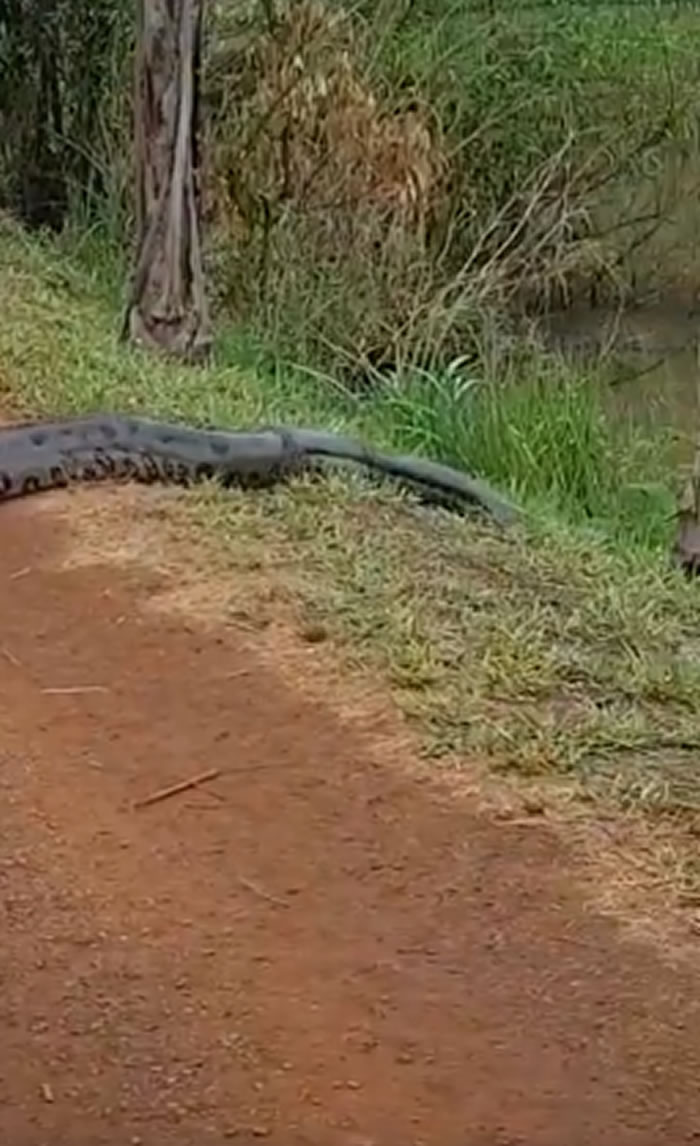 ҽѧԽַǰ·֡ ͣ鿴ŷɭ