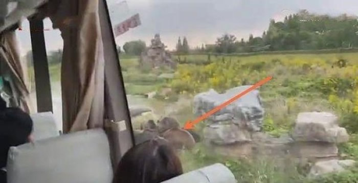 �Ϻ�Ұ������԰������ȺΧ��ҧ������Ա������