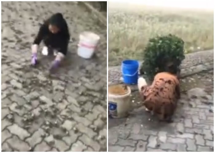 �������ݳ����г����뺣�ڴ������з����ϰ� ���ڵ��Ĵ�����������