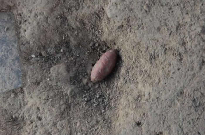 山西夏县师村遗址发现6000年前石雕蚕蛹