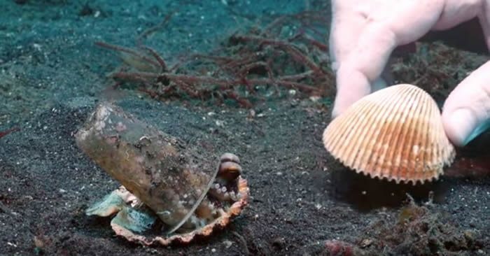 20����׷����ܽ���Ҭ������ ǱˮԱ��һ�ѱ���˵�������¼�