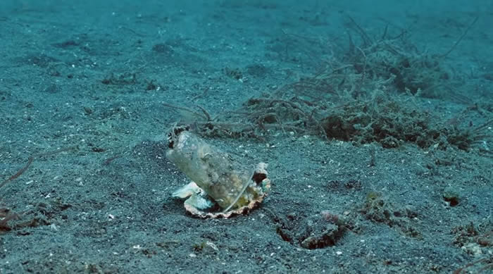 20����׷����ܽ���Ҭ������ ǱˮԱ��һ�ѱ���˵�������¼�