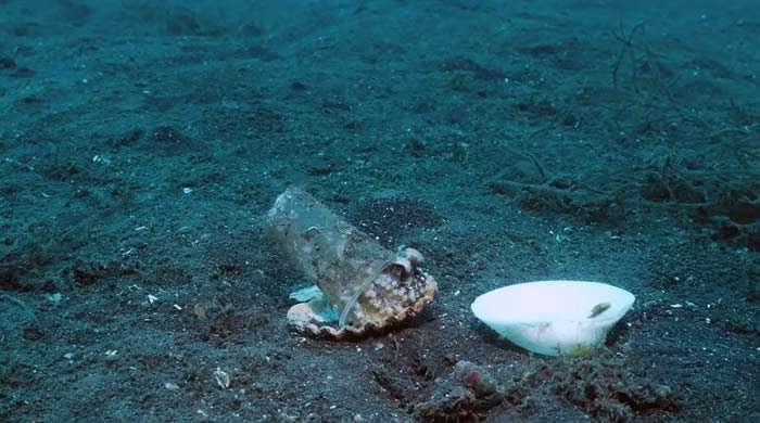 20����׷����ܽ���Ҭ������ ǱˮԱ��һ�ѱ���˵�������¼�