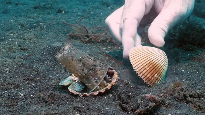 20����׷����ܽ���Ҭ������ ǱˮԱ��һ�ѱ���˵�������¼�