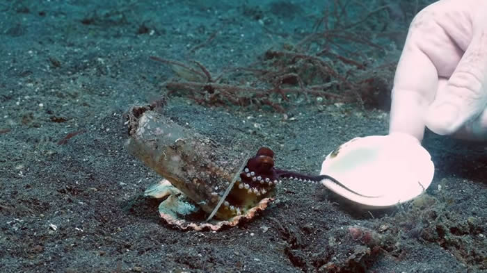 20����׷����ܽ���Ҭ������ ǱˮԱ��һ�ѱ���˵�������¼�