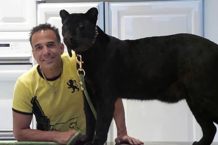 ������������֧��150��Ԫ�ͺڻ�������ˣ��Ӱ �������������⵽����