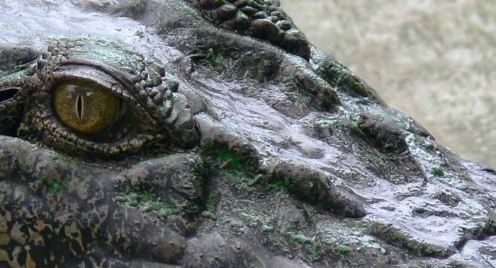 ī�����ϲ�����˹����һ�������ں�ˮ�����������Ų���