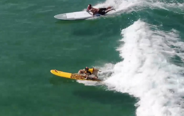 ���������������ݵ���������Charlie�Ȱ����� �������