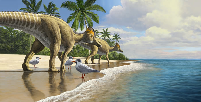 发现非洲第一块鸭嘴龙化石 或证实恐龙也曾漂洋过海
