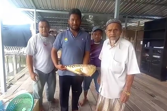 泰国喀比府渔民捕获一尾长得奇丑的“人面”怪鱼——东方披肩鰧