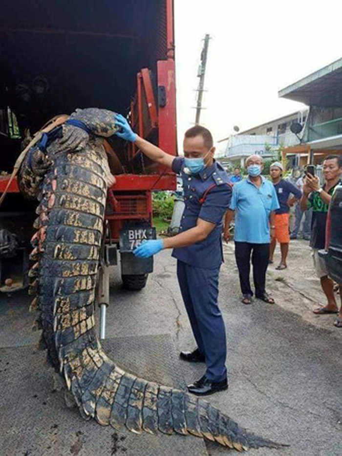 800�������������������ɰ��Խסլ�� �����ǹ�������ƹ������˵�����