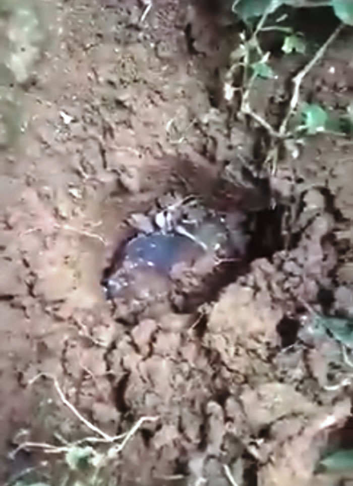 天降横财140万英镑!印尼制棺师在家中工作时45亿年历史陨石从天而降砸破屋顶