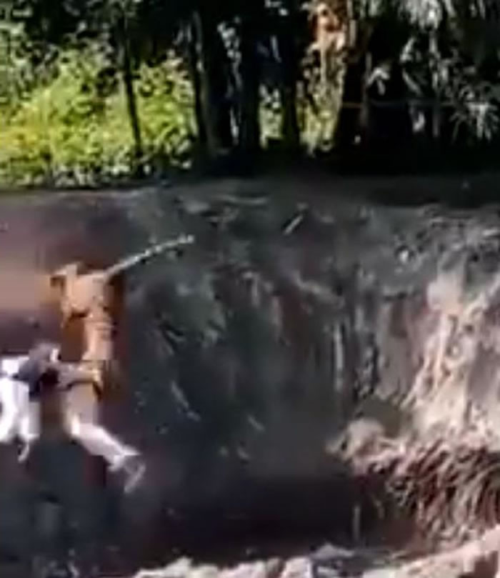 ӡ�Ȱ���ķ��̩���ն���һȺ������������ε����ϻ�׷ɱ