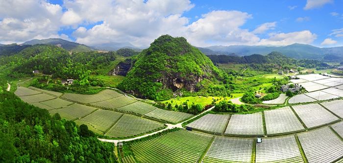 ͼΪ������ȫ����������/�� ��������ý�����Ĺ�ͼ