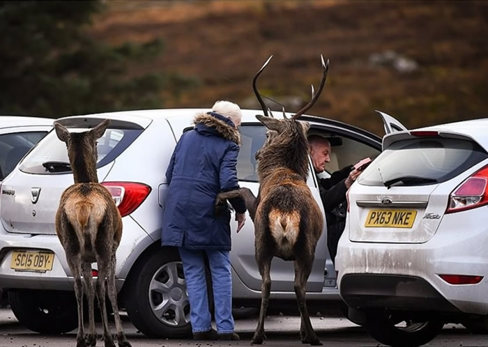 Ӣ���ո���Ů��;�����׿�ʱ����ֻŷ����¹Χס