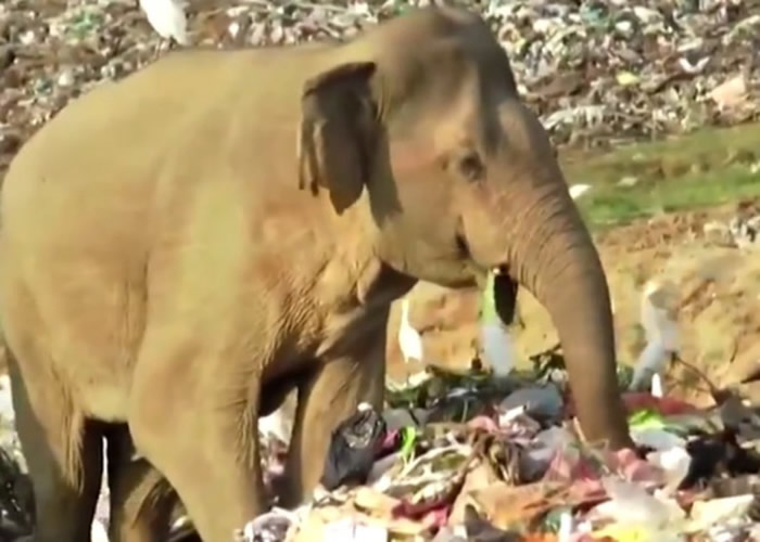 ˹����������С���������������������������� �����ƻ��ں�����ֹ������