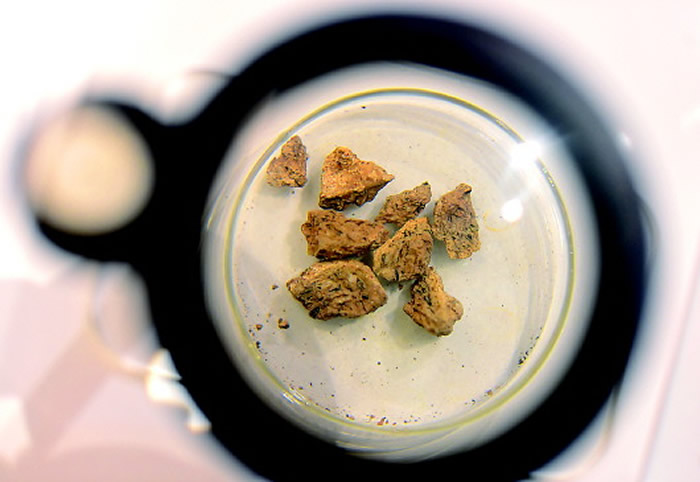 上山考古遗址公园内展出的掺杂稻壳的烧土块。新华社记者 韩传号 摄