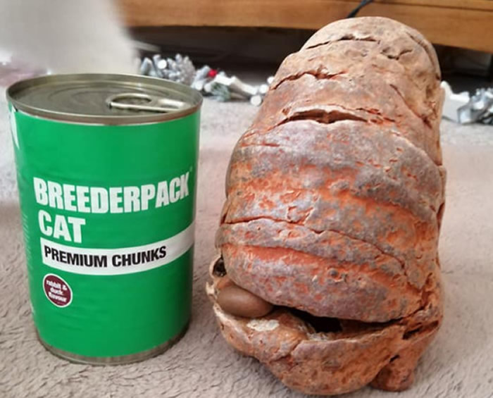 Ӣ�����ؿ�ĸŮ����̲ɢ�����֡���ʯ�� ���ؼ�����̾�Ȼð��ȼ��ԭ���Ƕ�ս����