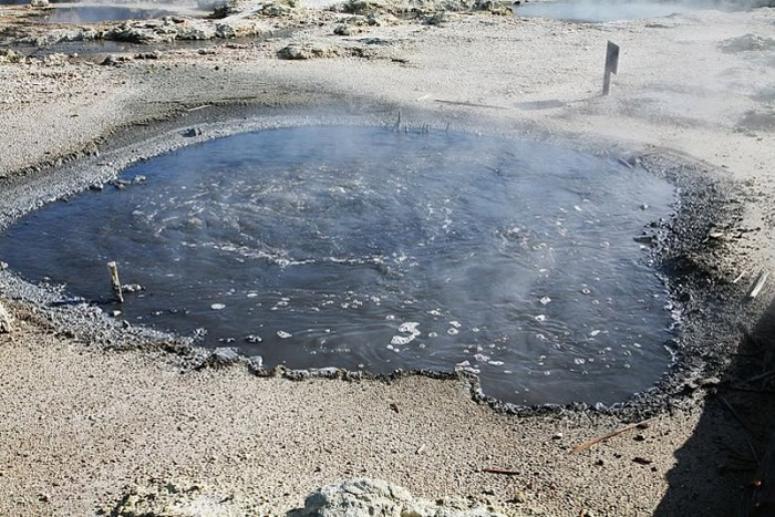 在新西兰罗托鲁阿附近“地狱之门”(Hell’s Gate)温泉的一项研究中,来自热液池的样品经过了干燥和再湿润的循环,这促进了化学反应,产生了类似RNA的分子