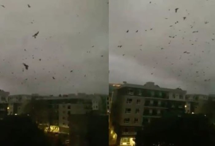 ���ô󰲴���ʡ��ճ��ֺ����澰������ֻ��ѻ������������