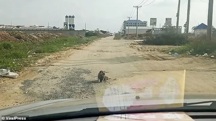 ������Ϸ��������կ���˹��������˺������� ���������æ��ȴͻȻվ��������ܿ�