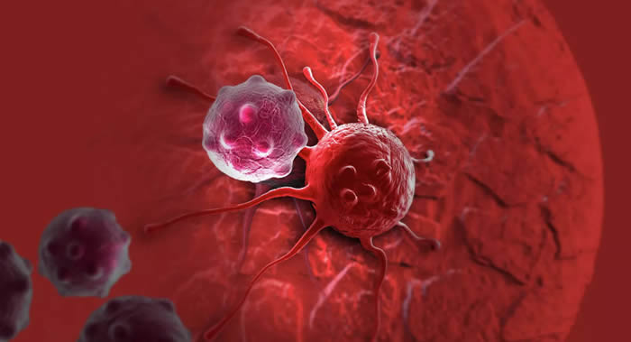 ����÷ɭ��ѧϵͳ����ѧѧԺ����ѧ�ң��¹�֢״���ڷ�����ʱ�ᡰ���ѡ���֢