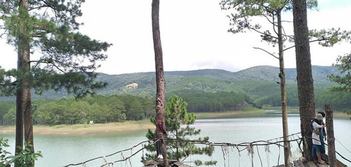 ��Soha����������Խ��Ů�������Ѱ�æ����ȴ�ھ�ͷǰ������ʧ ��ɡ�������Ƭ��