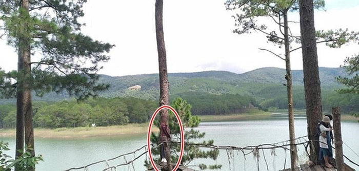 ��Soha����������Խ��Ů�������Ѱ�æ����ȴ�ھ�ͷǰ������ʧ ��ɡ�������Ƭ��