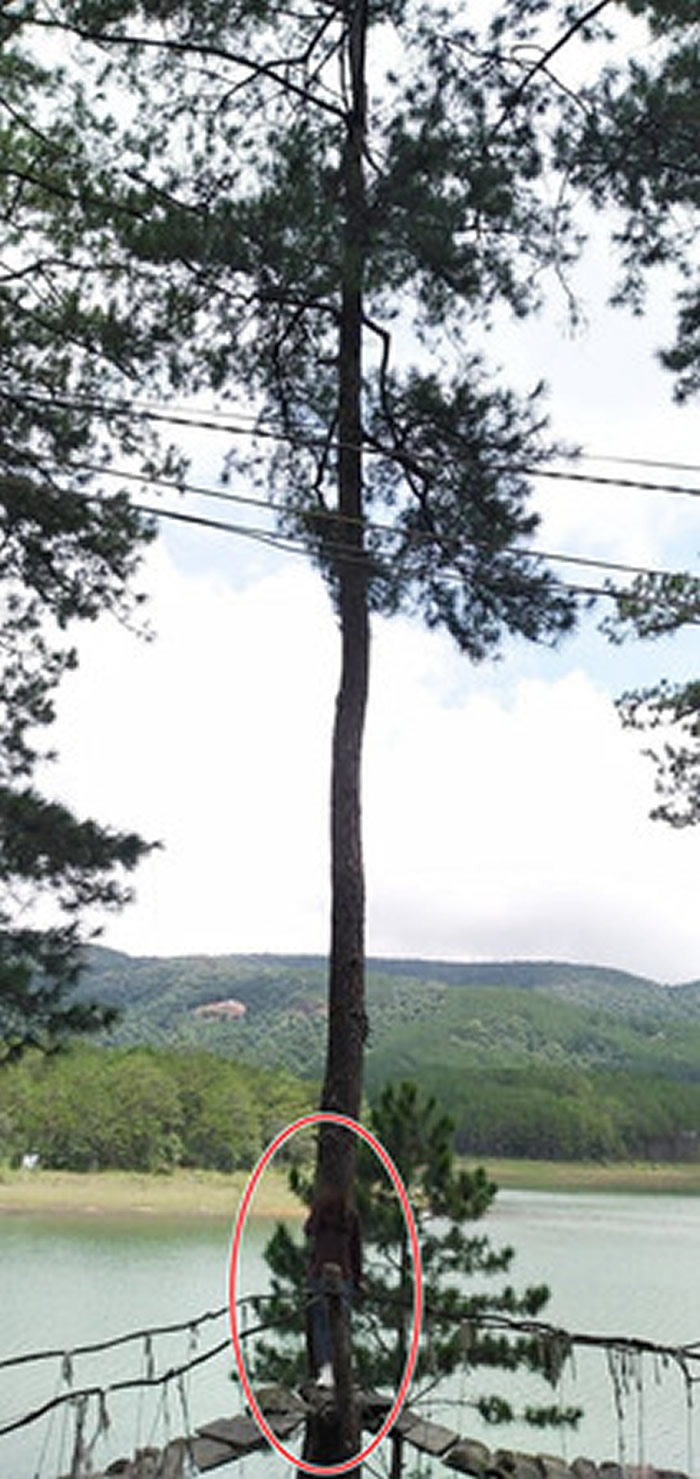 ��Soha����������Խ��Ů�������Ѱ�æ����ȴ�ھ�ͷǰ������ʧ ��ɡ�������Ƭ��