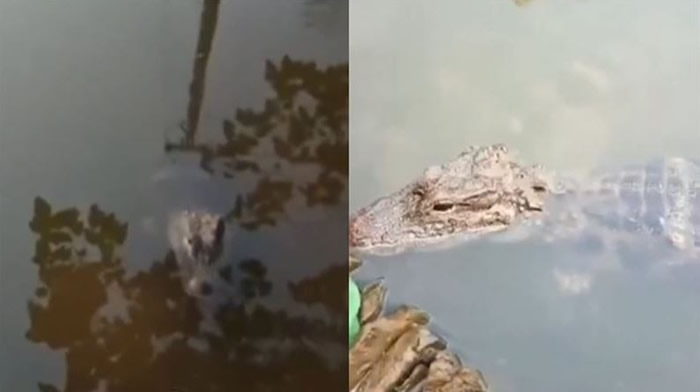 ����ʡ������Ů��ÿ���ںӱ�ϴ��ʱ ����һֻҰ���������غ�һ��