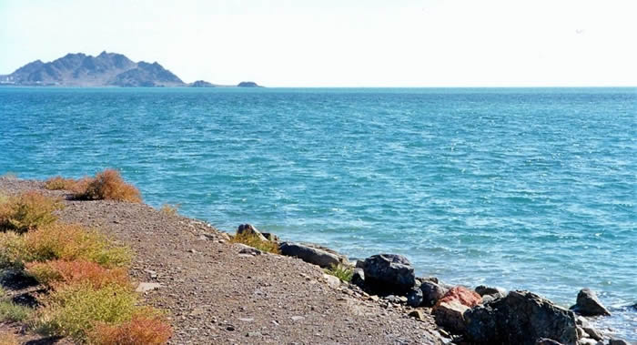 温子仁可骇新片《恶性》撤档 由《奇同女侠1984》接棒