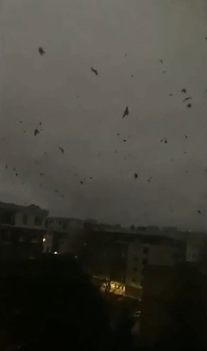 ����ĩ�����ף����ô󰲴���ʡ�ϰ�ֻ��ѻ�ڿ�������10���Сʱ���������������