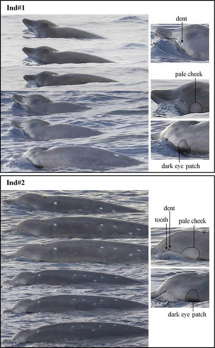 пԺɺŶ״ϺĿͷ๾ӳ๾๾