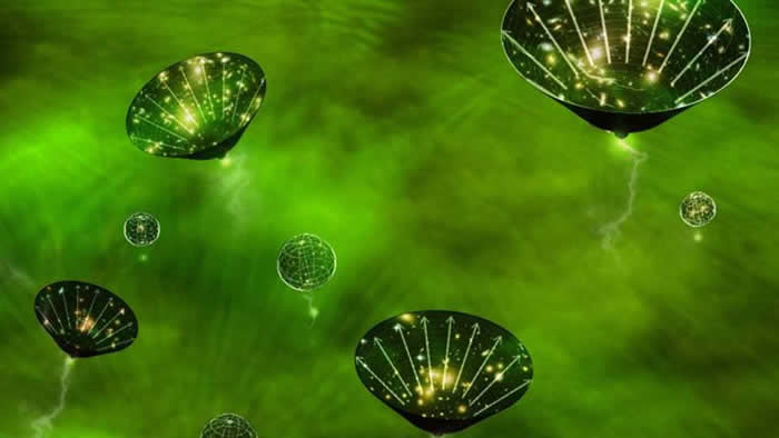 ԭʼ�ڶ�������ȫ���򲿷ְ������γɵ�ԭ��