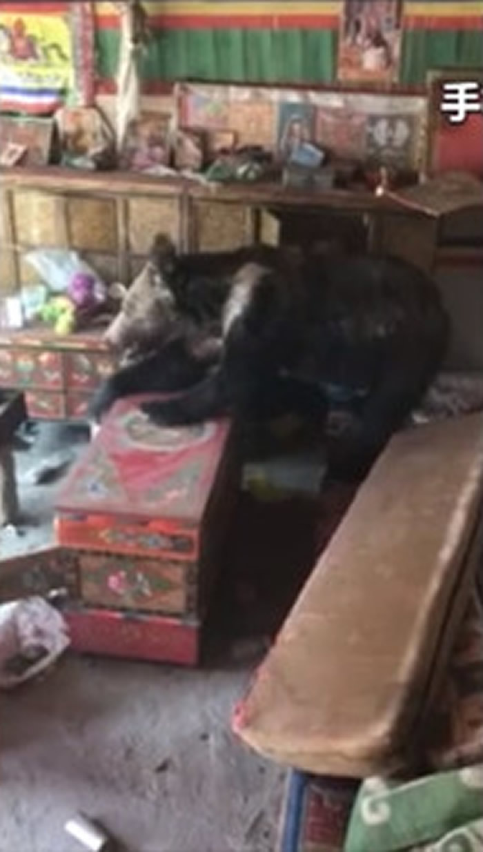 �ຣ���������������ˡ�����֮�͡������� �������ع�����ǹʵ������