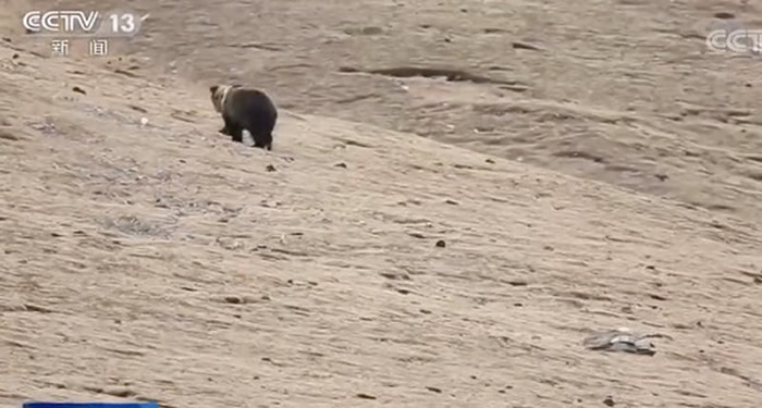 �ຣ���������������ˡ�����֮�͡������� �������ع�����ǹʵ������