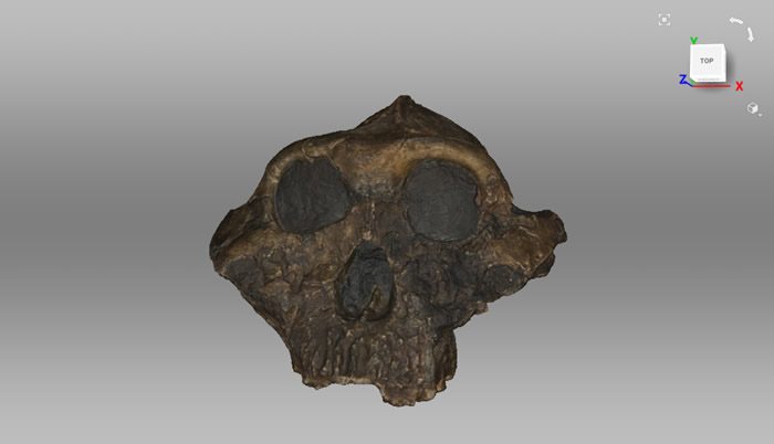 ���ô���׶��ѧ����3Dɨ�輼����������ѧ����ʵ����