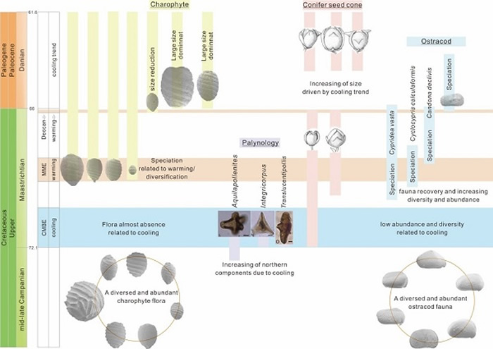 Ⱥ塢ࣩӦȫ仯߷ֲȺ仯Kohei, 2016ζȺ仯Qu et al., 2014Mesocyparis