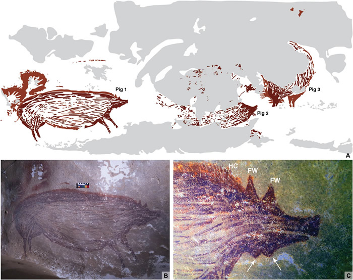 世界最古老的动物壁画很可能在印尼苏拉威西岛 和疣猪有关