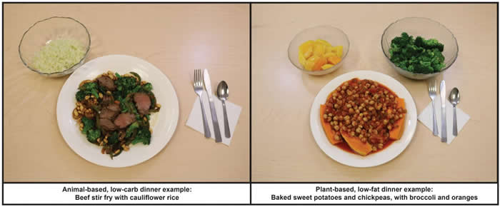 在减脂方面低脂植物性饮食胜过低碳水化合物饮食
