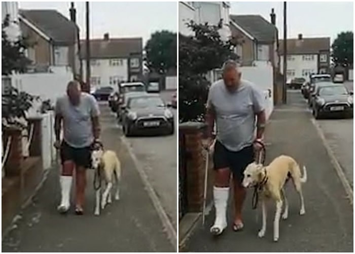 Ӣ���׶ع����˽����������� ԭ����ģ������