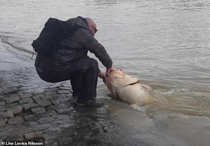 ��������¬������������1.9�׳���������