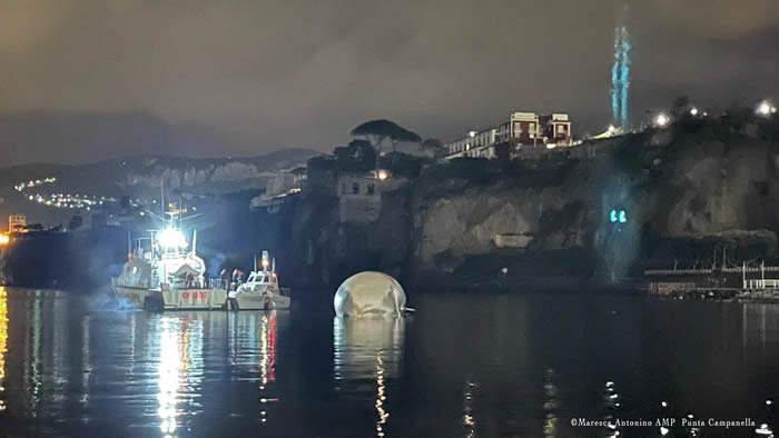 意大利观光古镇索伦托附近发现一头巨大的长须鲸尸体