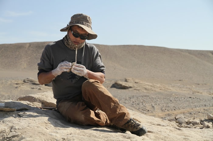 翼龙“捕手”:中科院汪筱林研究员数十年来致力于揭开中生代生物进化的未解之谜